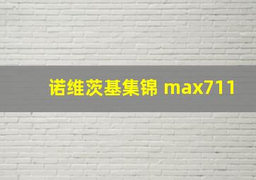 诺维茨基集锦 max711